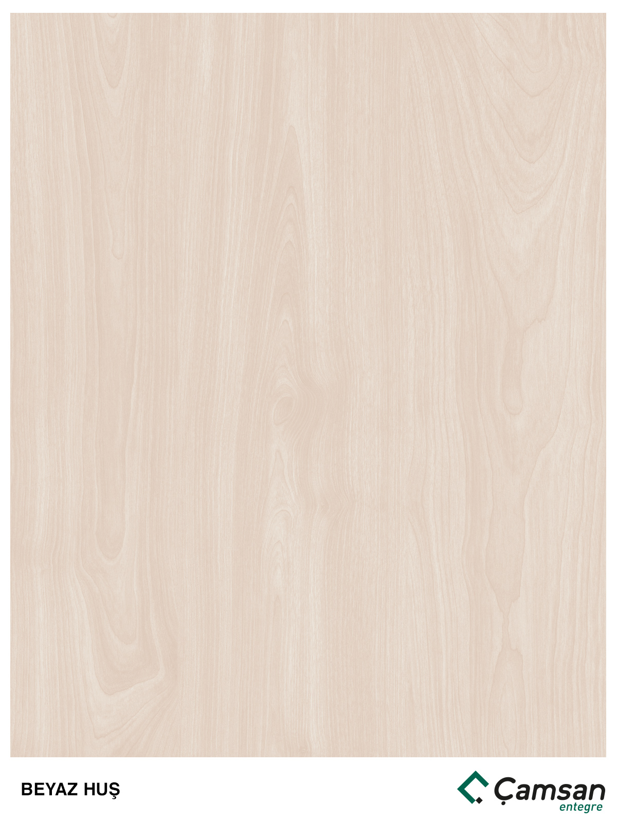 White Birch