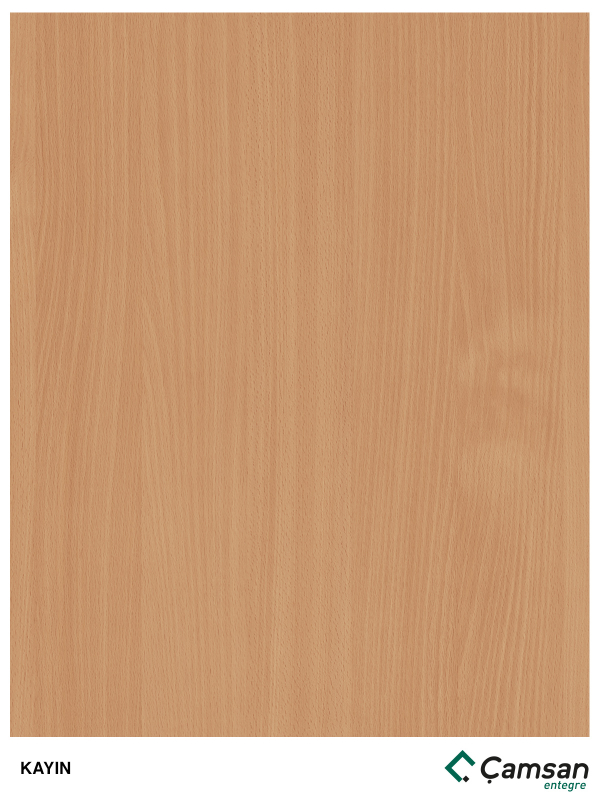 Beech