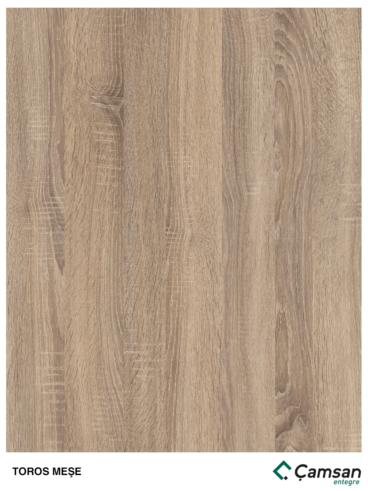 Taurus Oak