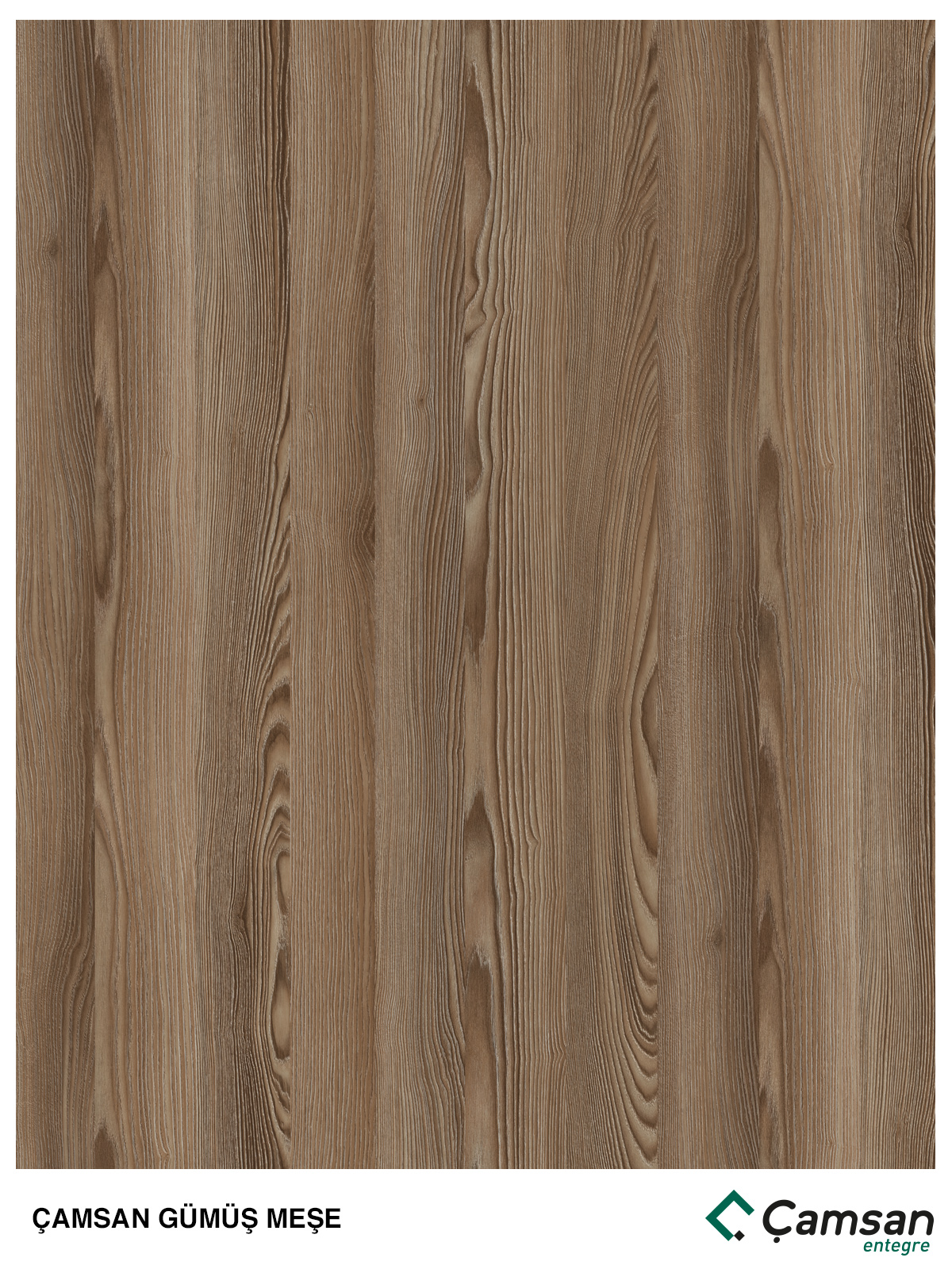 Pine Silver Oak