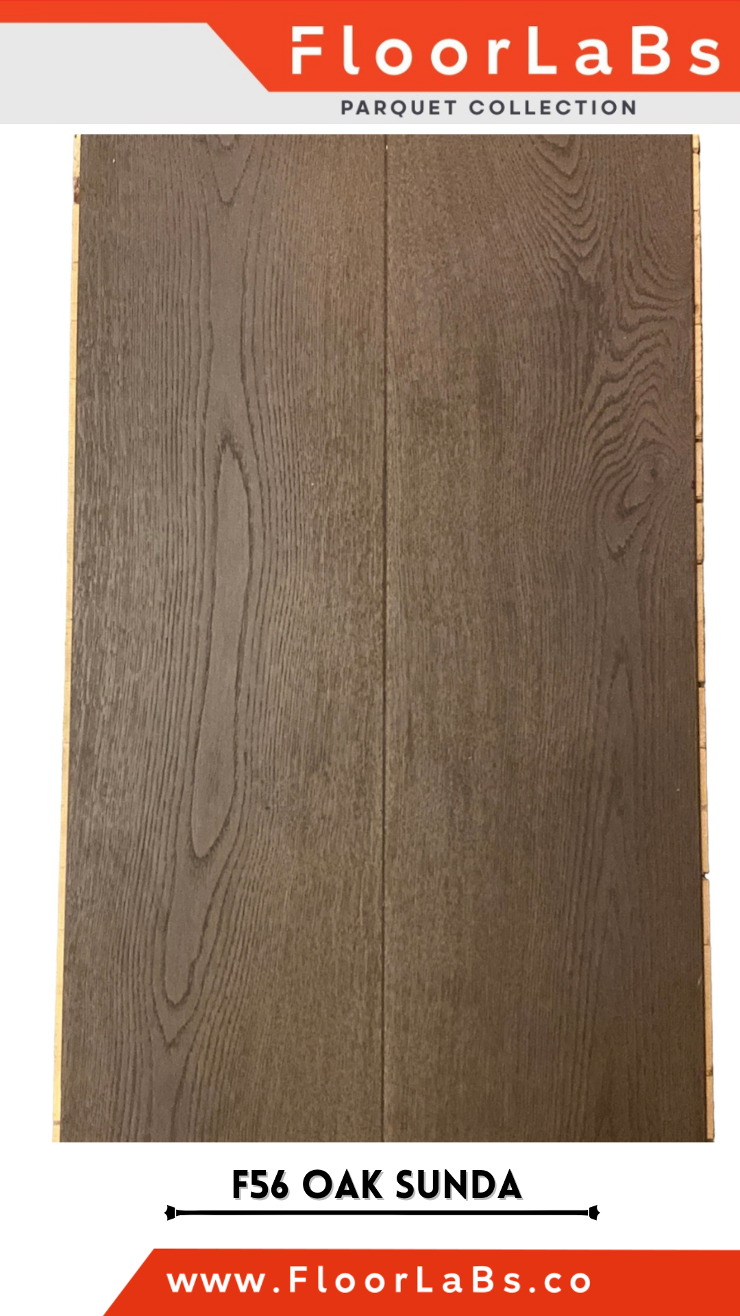 Oak Sunda